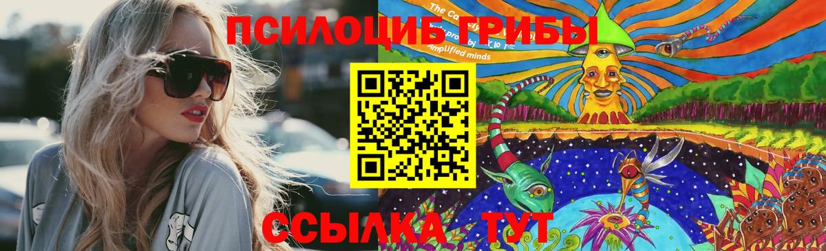 Псилоцибиновые грибы MAGIC MUSHROOMS  Вход с VPN  Псилоцибиновые грибы Magic Shrooms  Нефтекамск 